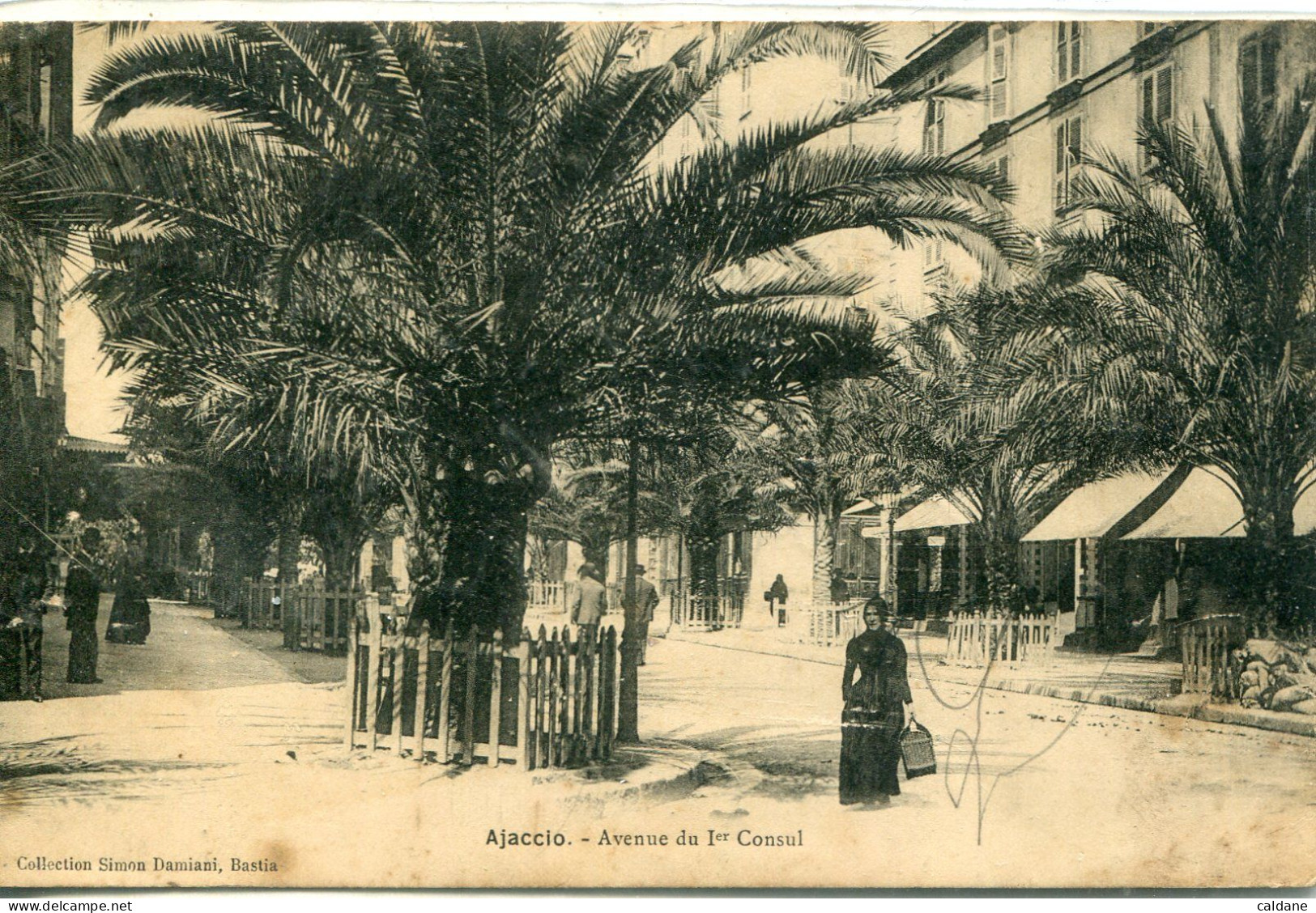 2A- CORSE-  AJACCIO  -  Avenue Du 1ér.    Consul - Ajaccio