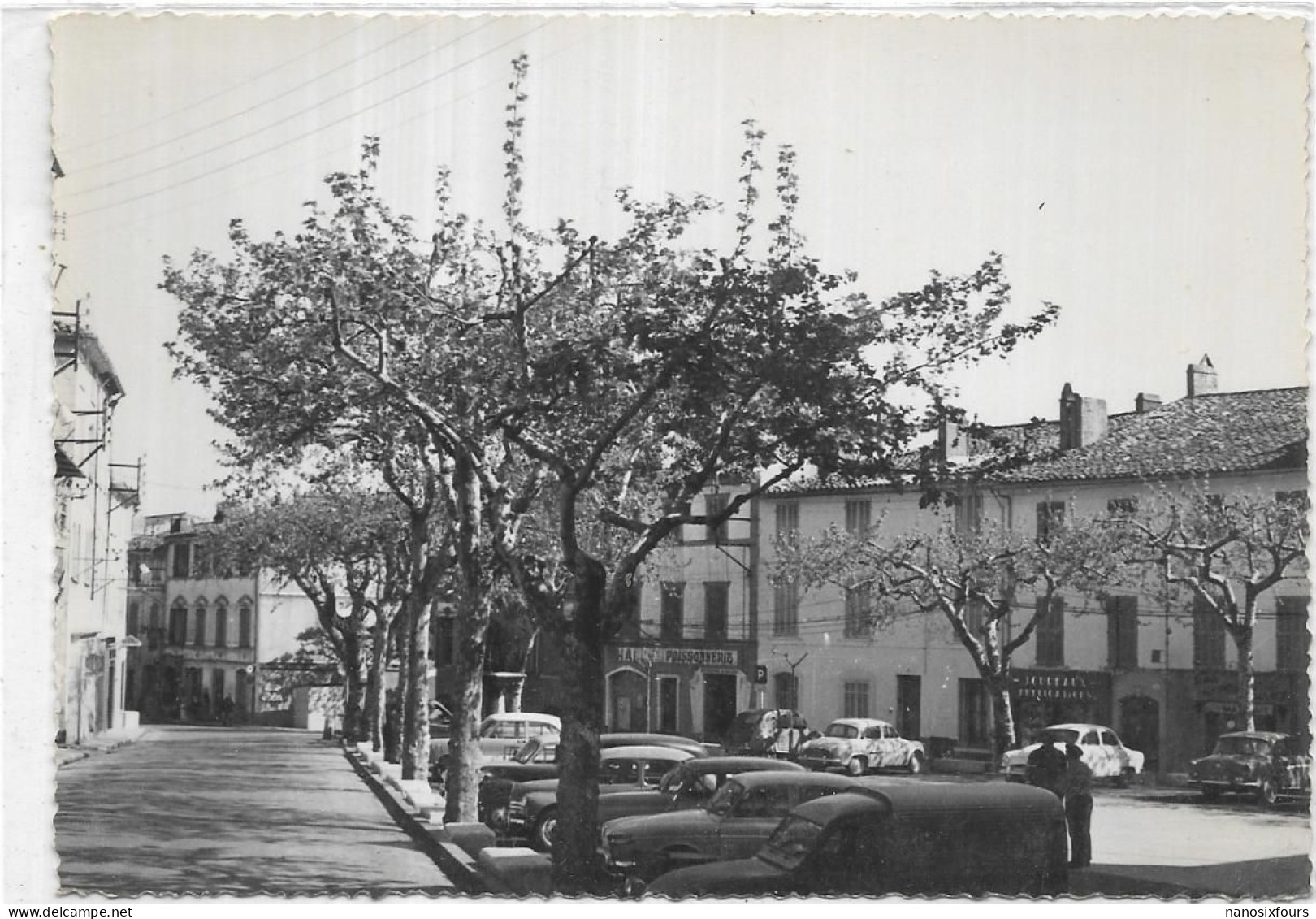 D 83 LE BEAUSSET.  PLACE DE L HOTEL DE VILLE - Le Beausset