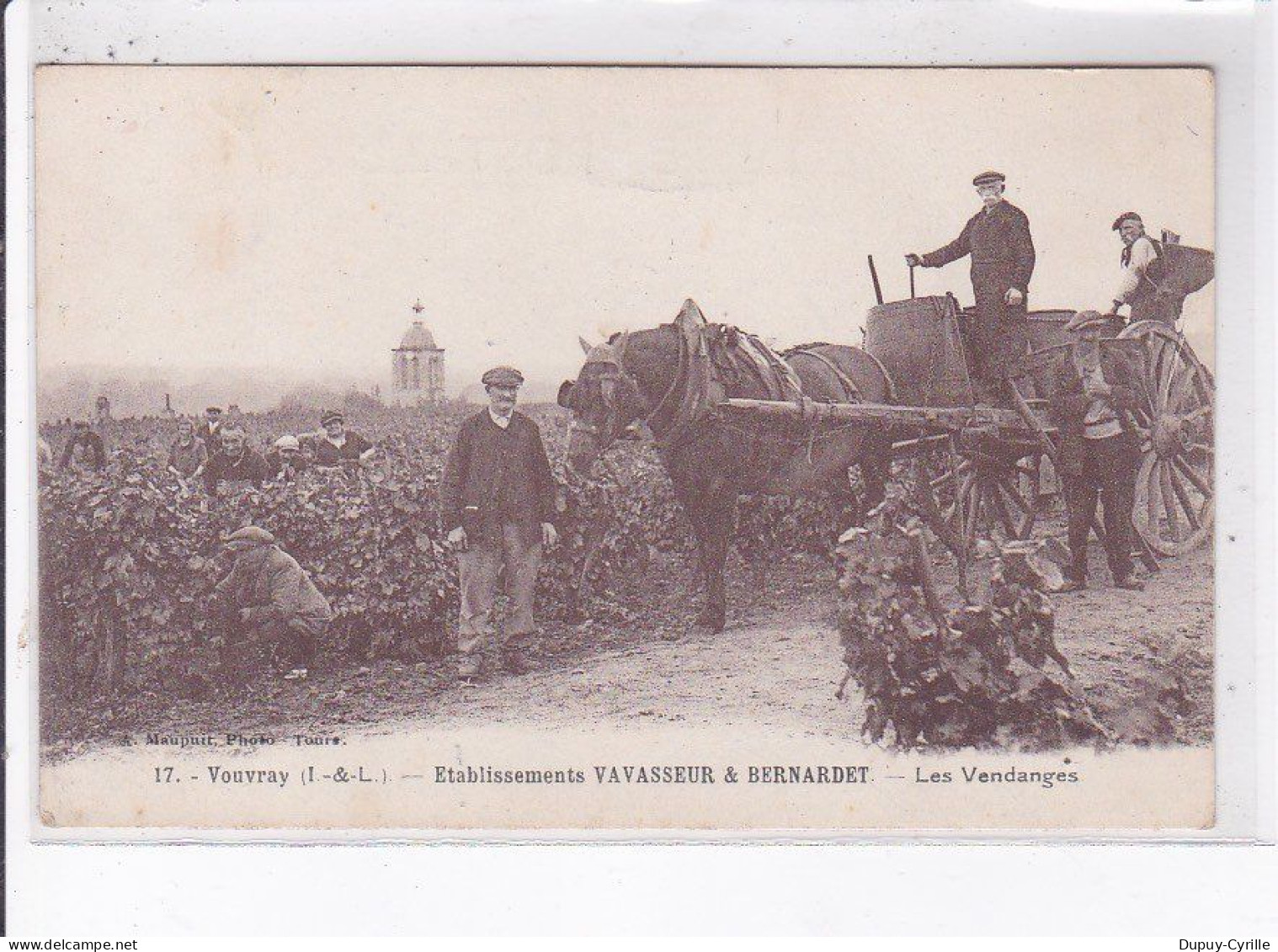 VOUVRAY: établissements Vavasseur Et Bernardet, Les Vendanges - Très Bon état - Andere & Zonder Classificatie