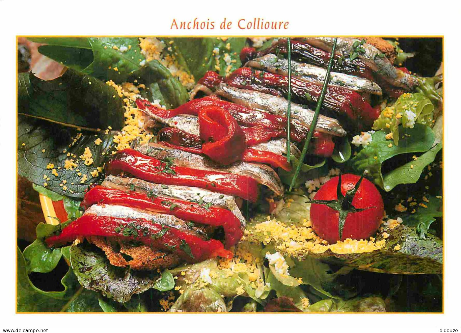 Recettes De Cuisine - Espardenya Aux Anchois De Collioure - Gastronomie - CPM - Carte Neuve - Voir Scans Recto-Verso - Recettes (cuisine)