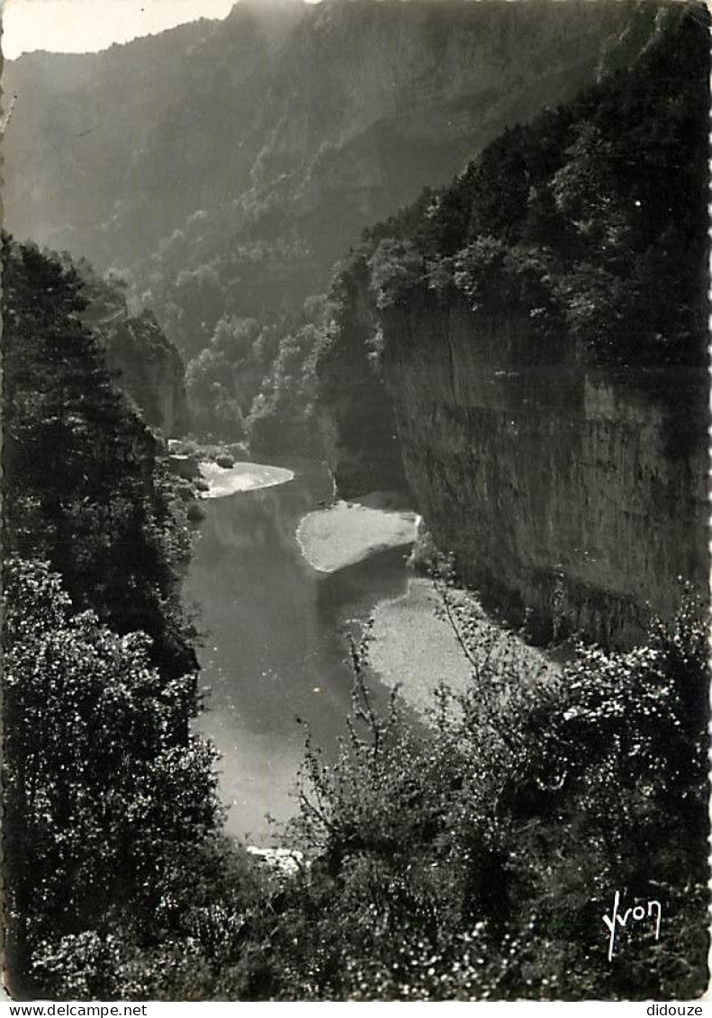 48 - Les Gorges Du Tarn - Environs De La Malène - Les Détroits - Carte Dentelée - CPSM Grand Format - Voir Scans Recto-V - Gorges Du Tarn