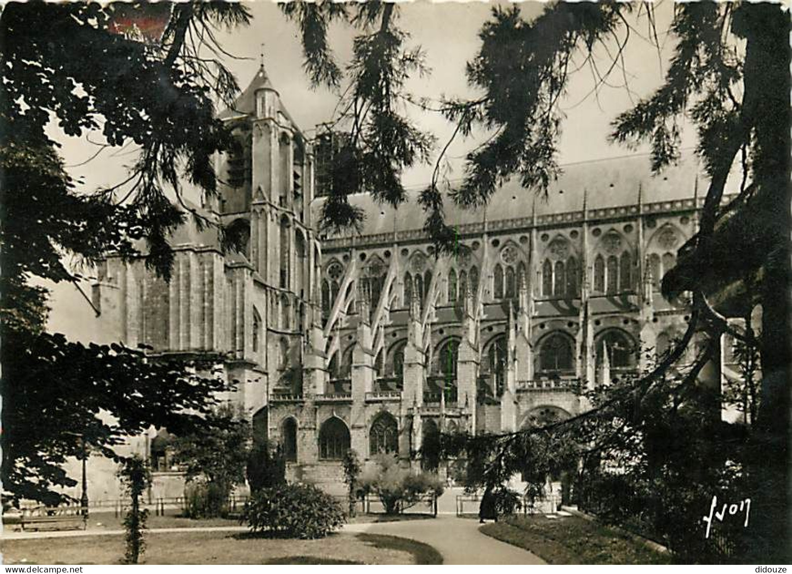 18 - Bourges - La Cathédrale Vue Du Jardin Public - Carte Dentelée - CPSM Grand Format - Etat Arrachée Sur 1 Cm - Voir S - Bourges