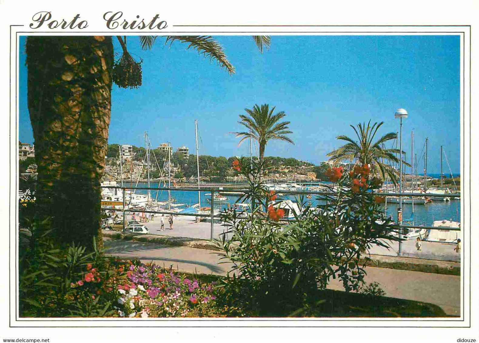 Espagne - Espana - Islas Baleares - Mallorca - Porto Cristo - Fleurs - CPM - Voir Scans Recto-Verso - Mallorca
