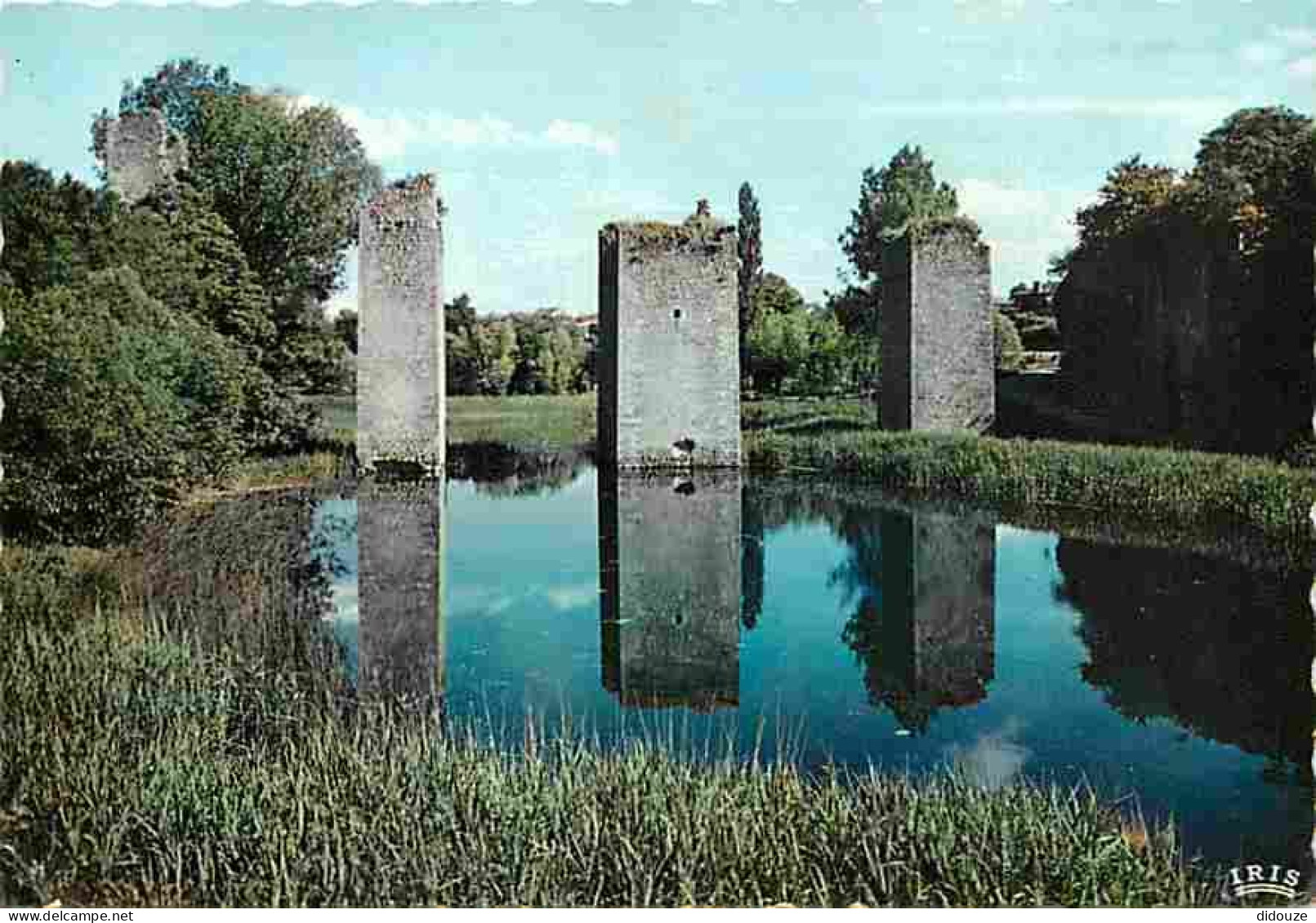 86 - Lussac Les Chateaux - Ruines D'un Manoir Féodal - Carte Neuve - CPM - Voir Scans Recto-Verso - Lussac Les Chateaux