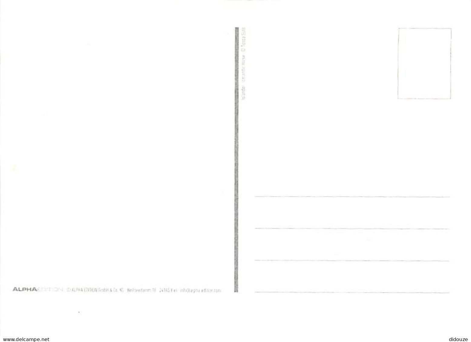 Animaux - Chevaux - Portrait - Carte Neuve - CPM - Voir Scans Recto-Verso - Pferde