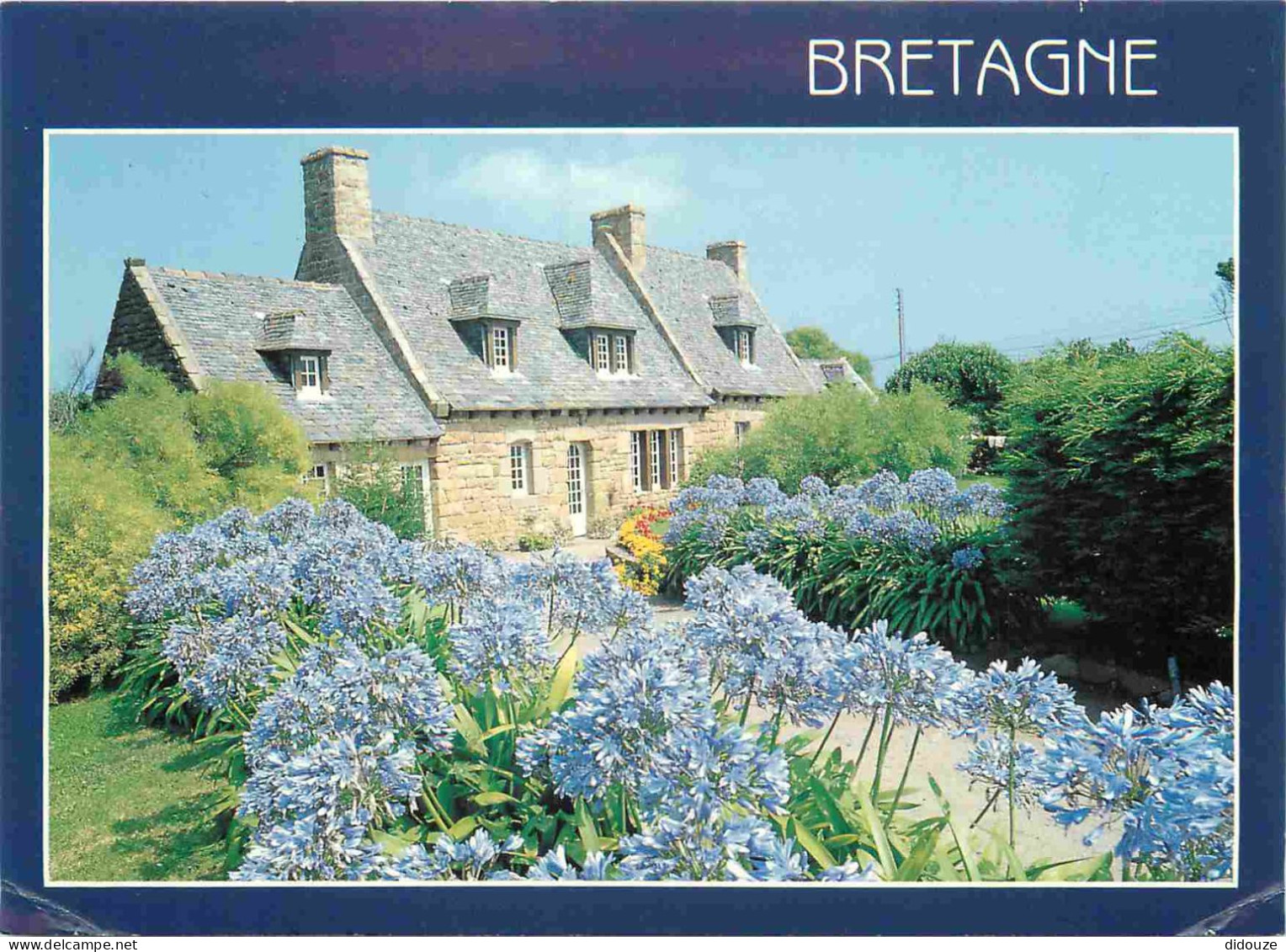 Régions - Bretagne - Maison Aux Agapanthes - Fleurs - CPM - Voir Scans Recto-Verso - Bretagne