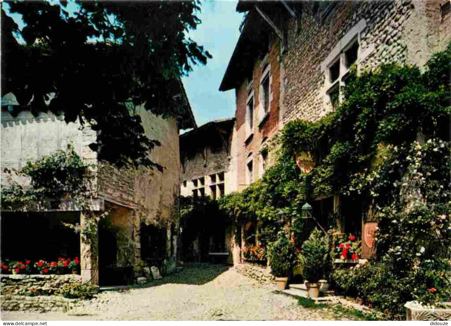 01 - Pérouges - Rue Des Princes - Ostellerie - Musée - Cité Médiévale - Vieilles Pierres - CPM - Voir Scans Recto-Verso - Pérouges