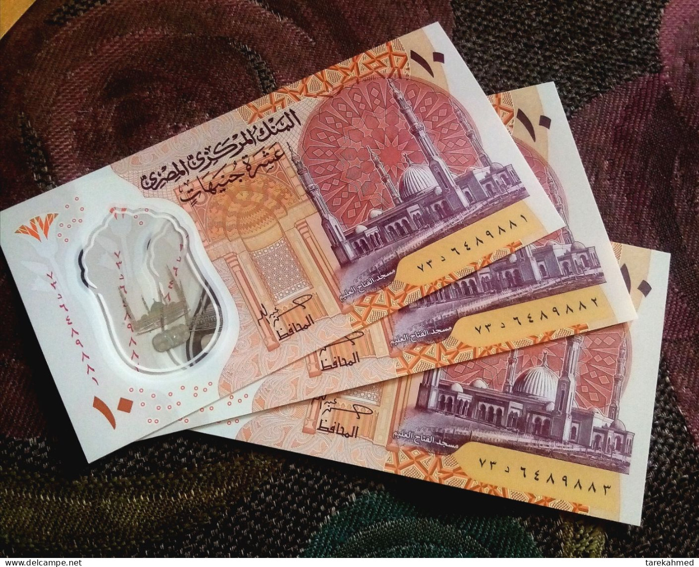 Egypt 2024 , 3 Consecutive 10 Pounds Polymer Notes , Prefix ( D73)  , UNC - Egypte