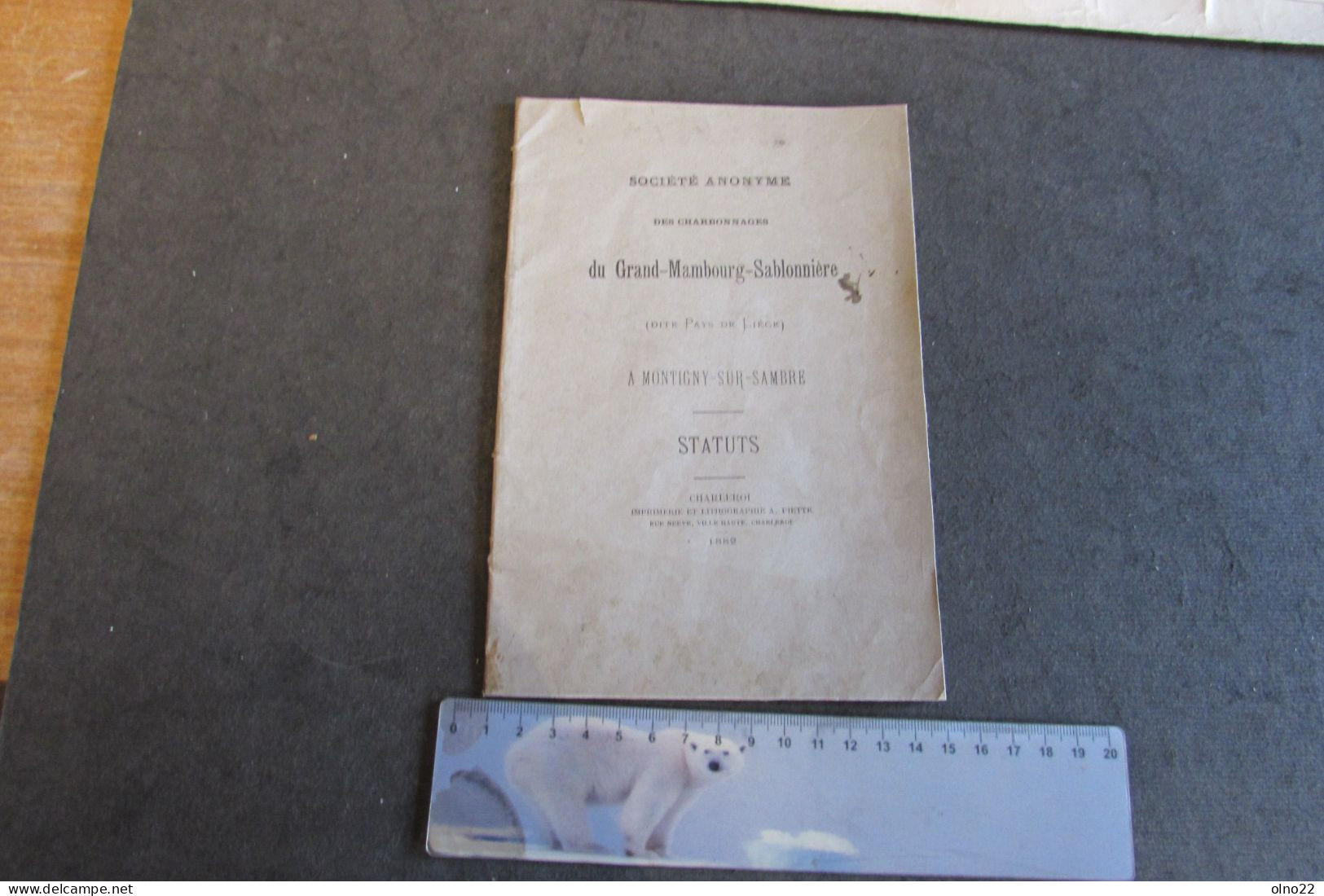 MONTIGNY-SUR-SAMBRE - 1882 - STATUTS DE LA S.A. DES CHARBONNAGES DU GRAND-MAMBOURG-SABLONNIERE - VOIR SCANS - Historical Documents