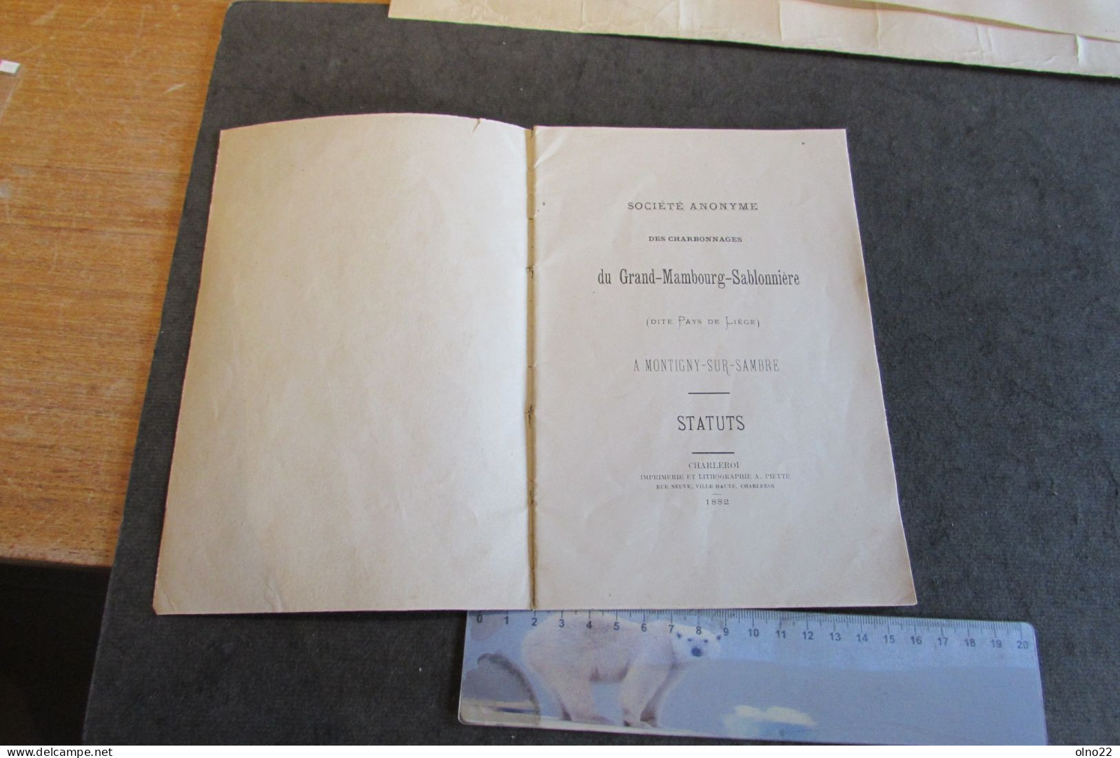 MONTIGNY-SUR-SAMBRE - 1882 - STATUTS DE LA S.A. DES CHARBONNAGES DU GRAND-MAMBOURG-SABLONNIERE - VOIR SCANS - Historical Documents