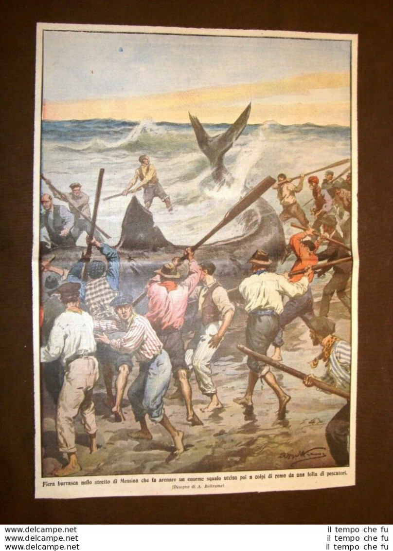 Retrocopertina Domenica Del Corriere 1914 Messina Burrasca Da Arenare Uno Squalo - Autres & Non Classés