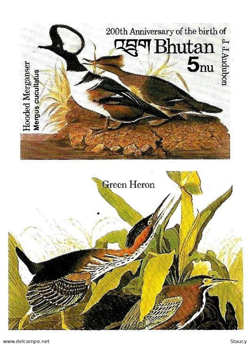 Bhutan 1985 Birds Audubon Complete Set Of 8 "Imperf" Stamps With Vignette MNH, As Per Scan, Only One Available - Bhután