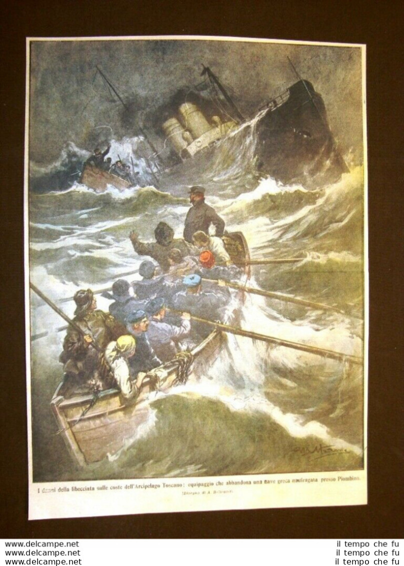 Retrocopertina Domenica Del Corriere Del 1910 Nave Greca Naufragata Piombino - Autres & Non Classés