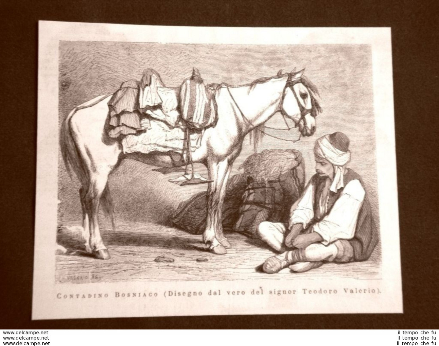 In Bosnia Nel 1875 Un Contadino Col Suo Cavallo Disegno Di Teodoro Valerio - Avant 1900