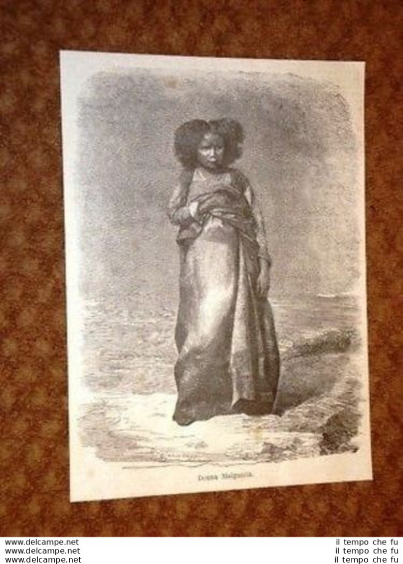 Donna Malgascia O Del Madagascar - Avant 1900