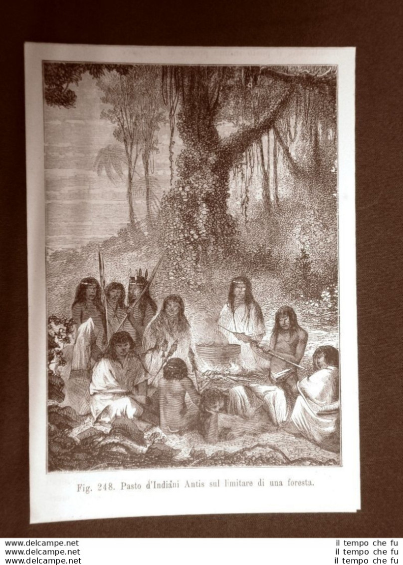 Il Pasto Presso Gli Indiani Antis Nel 1883 Moda E Costume - Avant 1900