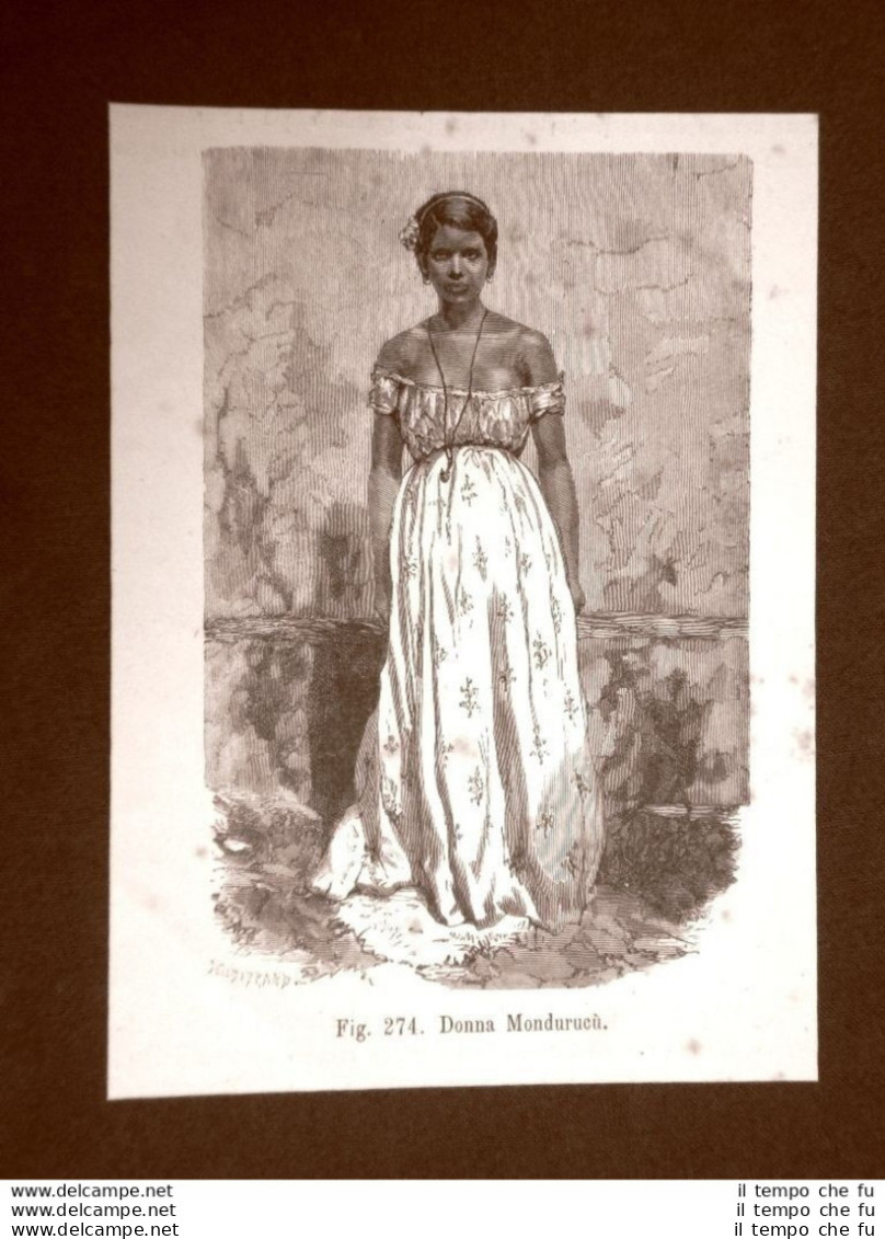 In America Nel 1883 Donna Indiana Donne Indiane Mondurucù Indiani - Avant 1900