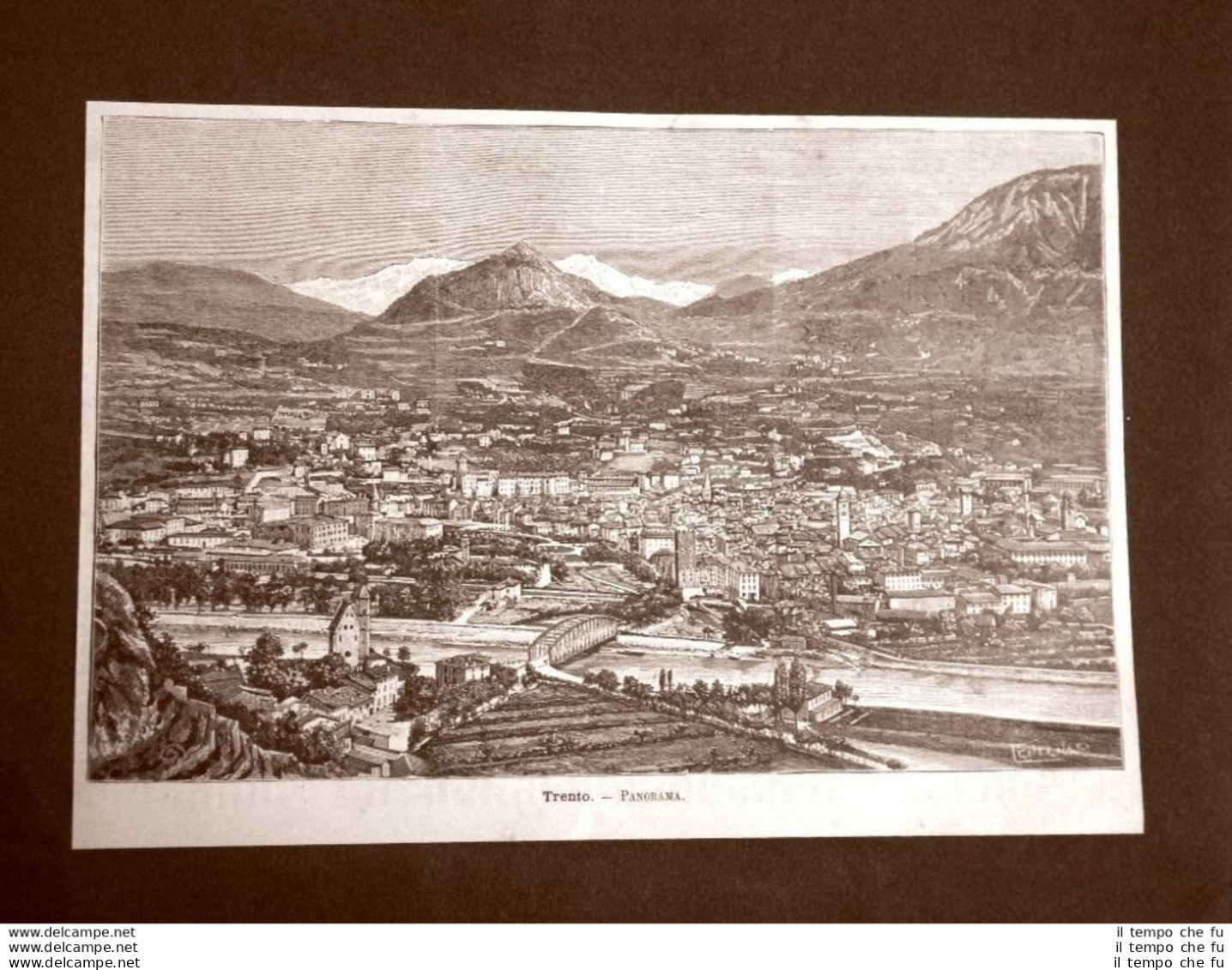 Incisione Del 1891 Rarissimo Panorama Di Trento - Trentino-Alto Adige - Ante 1900