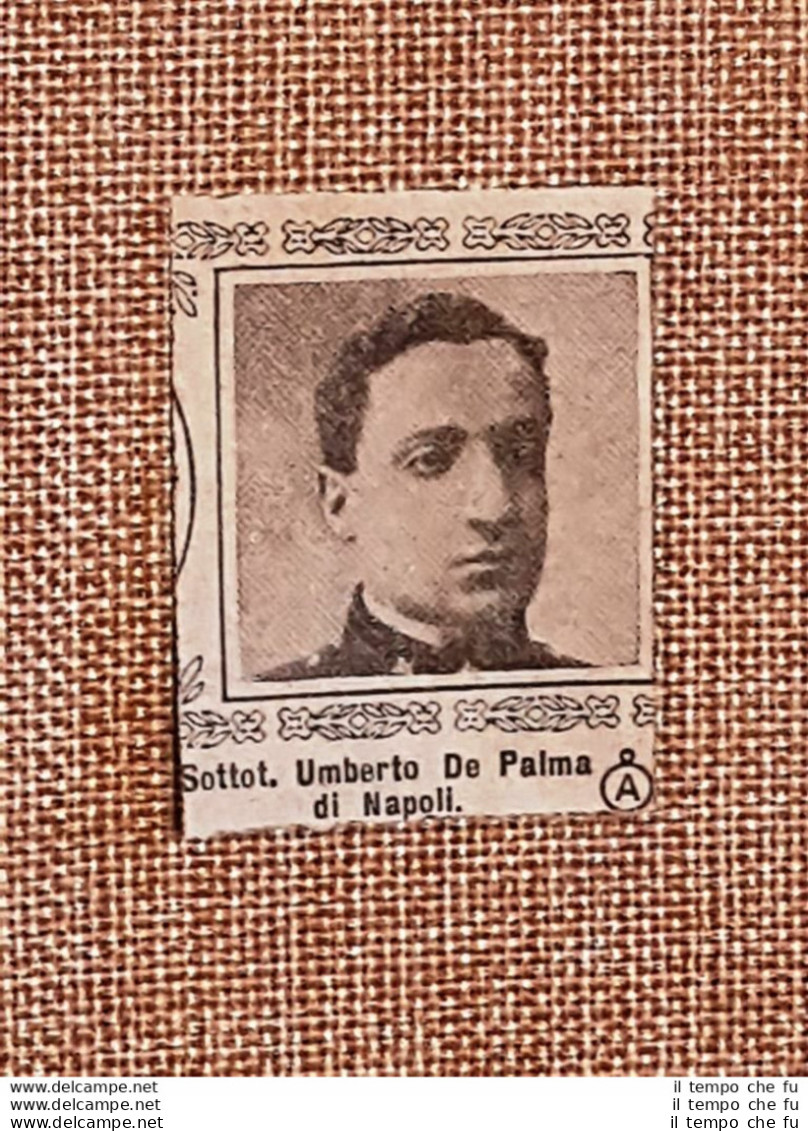 Umberto De Palma Di Napoli Caduto Nella Prima Guerra Mondiale WW1 - Otros & Sin Clasificación