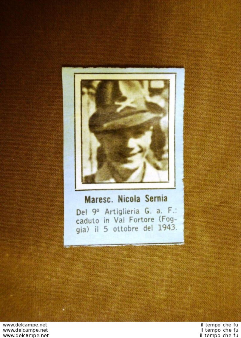 WW2 Caduto Maresciallo Nicola Sernia Val Fortore Foggia Seconda Guerra Mondiale - Altri & Non Classificati