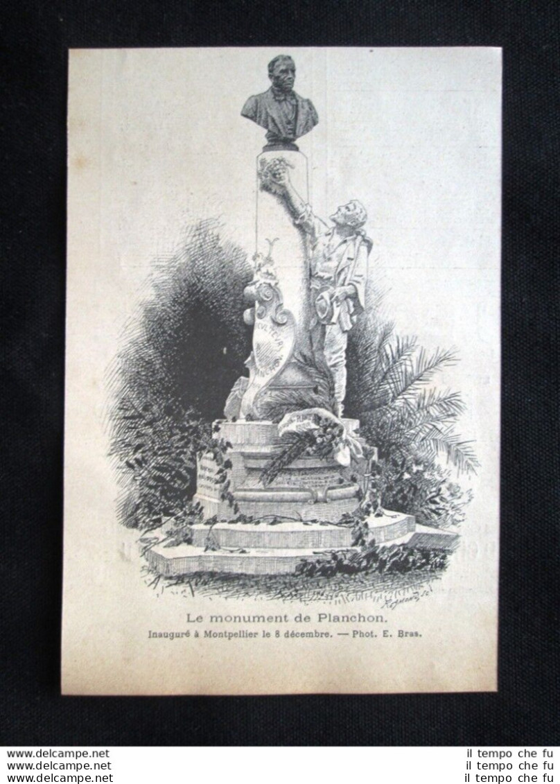 Il Monumento Di Planchon - Inaugurato A Montpellier L'8 Dicembre 1894 - Ante 1900