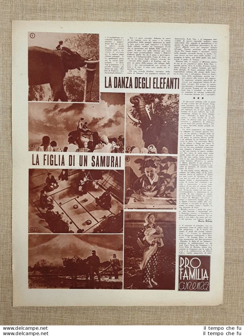 Film La Danza Degli Elefanti E La Figlia Di Un Samurai Illustrazione Cinema 1938 - Other & Unclassified