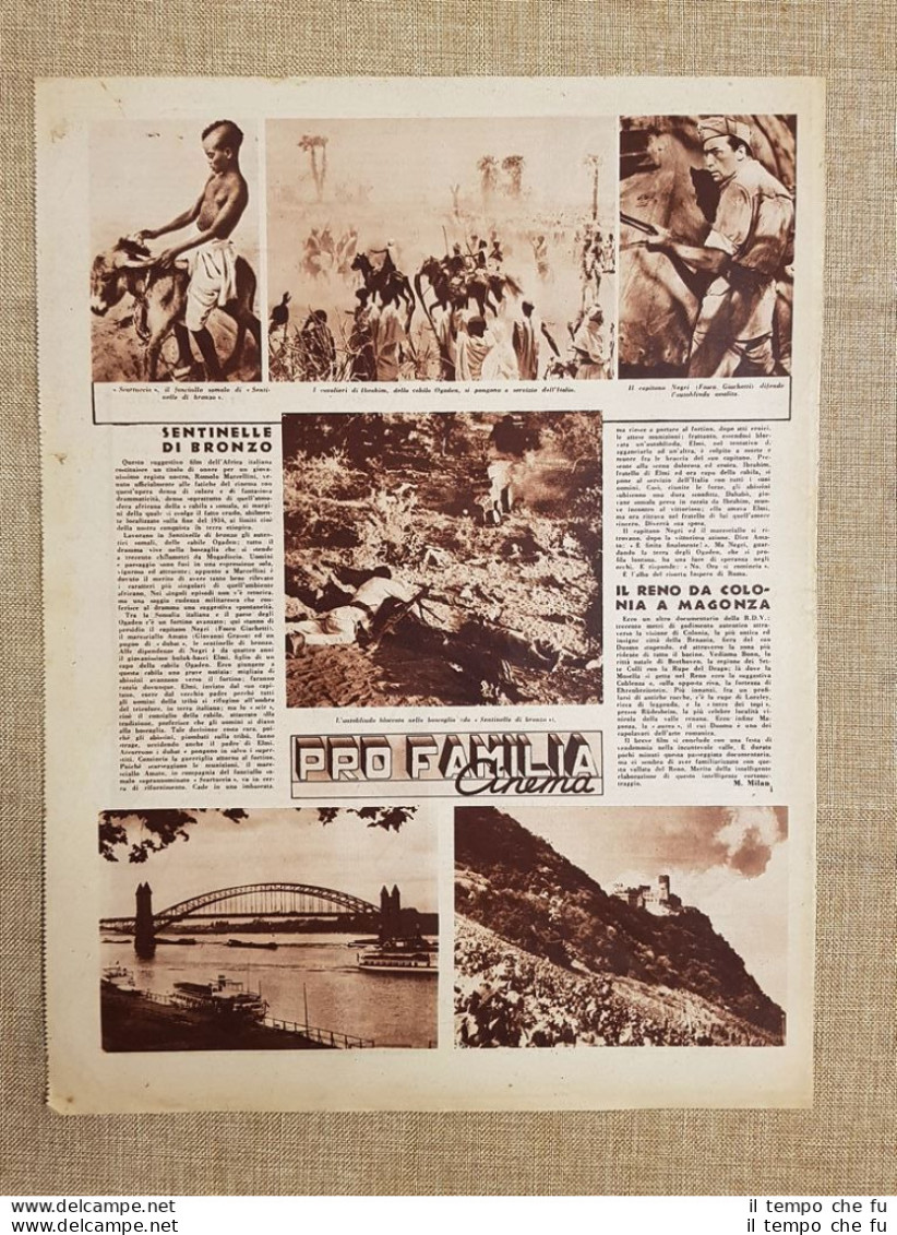 Film Sentinelle Di Bronzo Il Reno Da Colonia A Magonza Illustrazione Cinema 1937 - Otros & Sin Clasificación