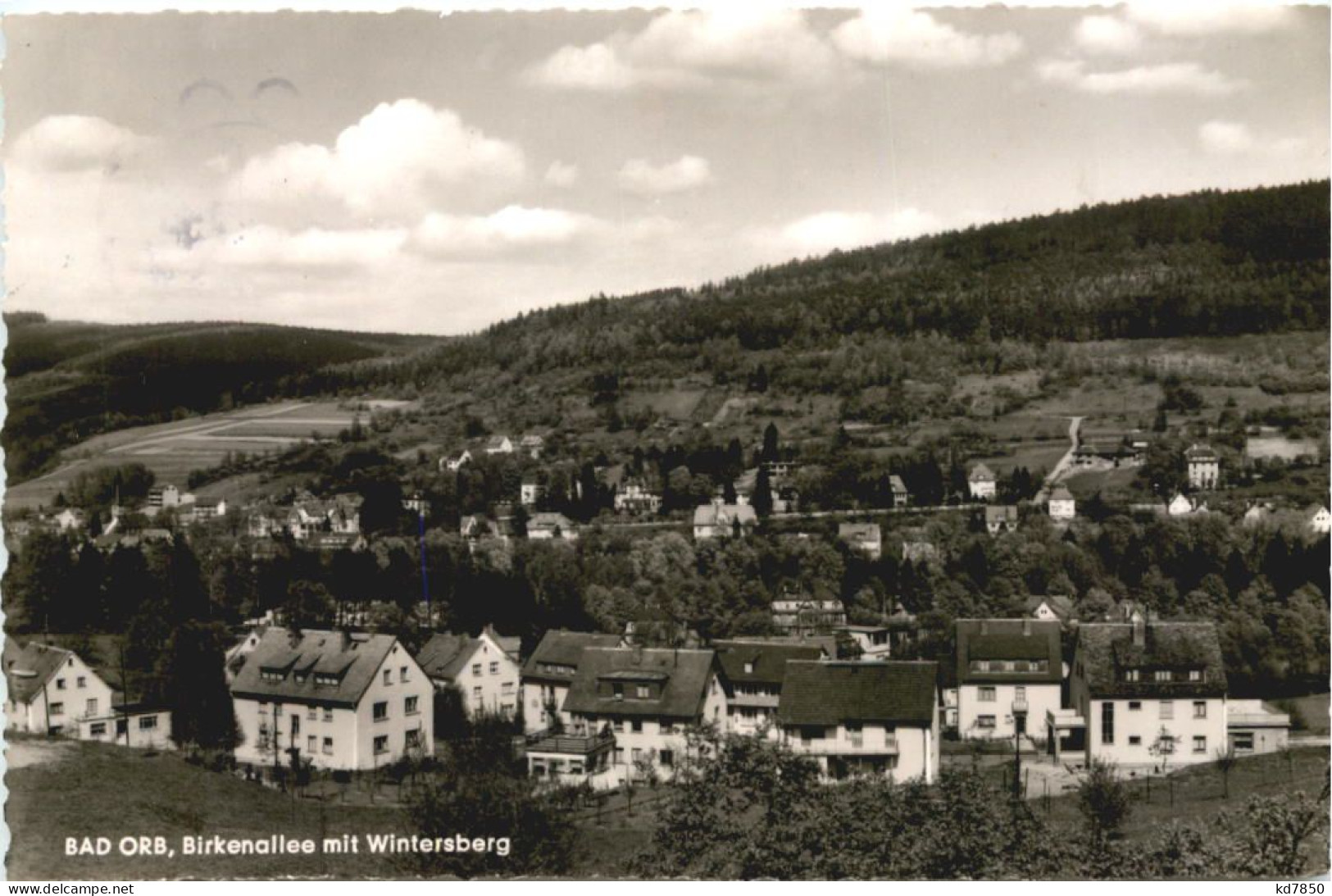 Bad Orb Im Spessart - Birkenallee - Bad Orb