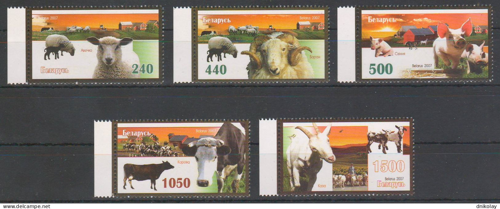 2007 720 Belarus Domestic Animals MNH - Bielorrusia