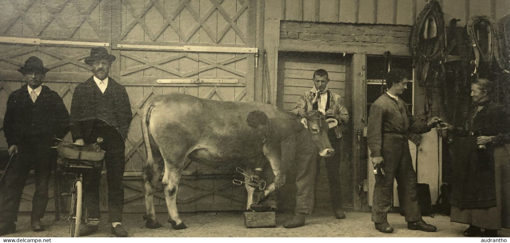 Rare Carte Photo - Maréchal Ferrant - Ferrant Une Vache - Belle Animation 6 Personnages - Morvan ?? - Berufe