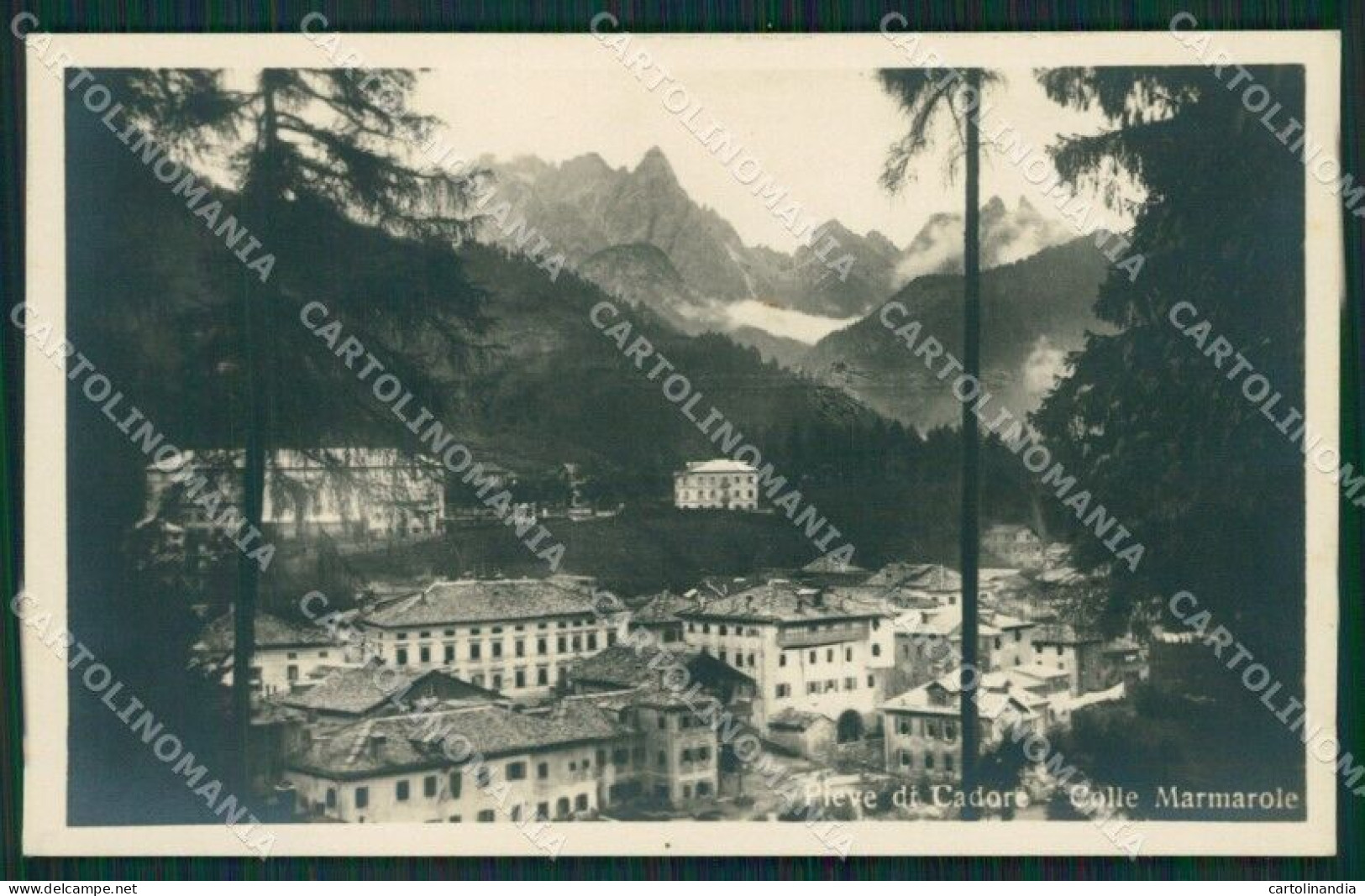 Belluno Pieve Di Cadore Foto Cartolina KV2091 - Belluno