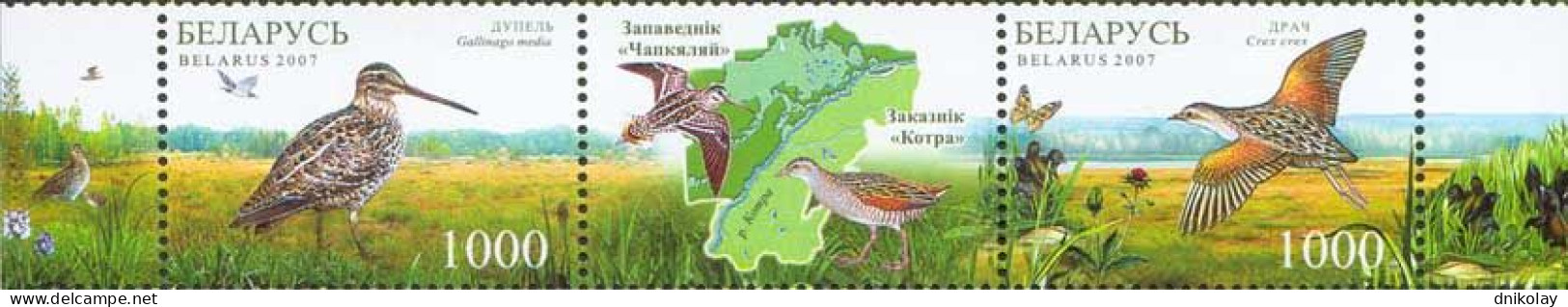 2007 696 Belarus Nature Of The Sanctuaries Of Chepkeliai And Kotra - Birds MNH - Bielorussia