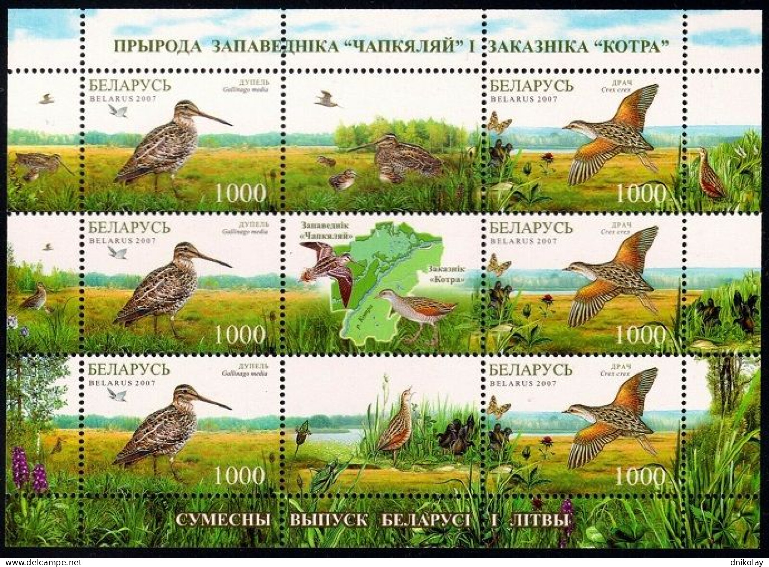 2007 696 Belarus Nature Of The Sanctuaries Of Chepkeliai And Kotra - Birds MNH - Wit-Rusland