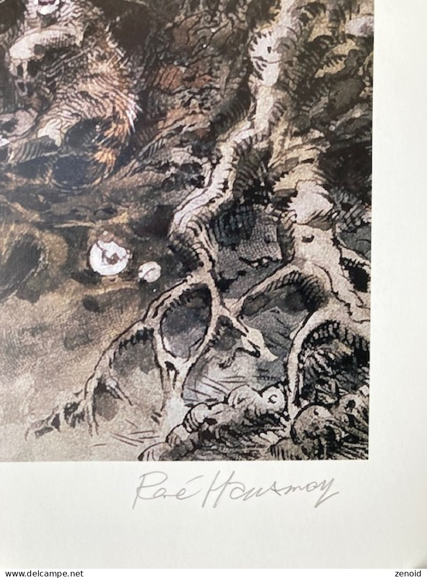 Affiche Bd Signée Hausman - Les Chats Sauvages - 40 X 60 Cm - Serigraphien & Lithographien