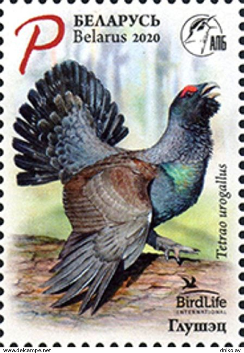 2020 Belarus Bird Of The Year - Western Capercaillie MNH - Bielorussia