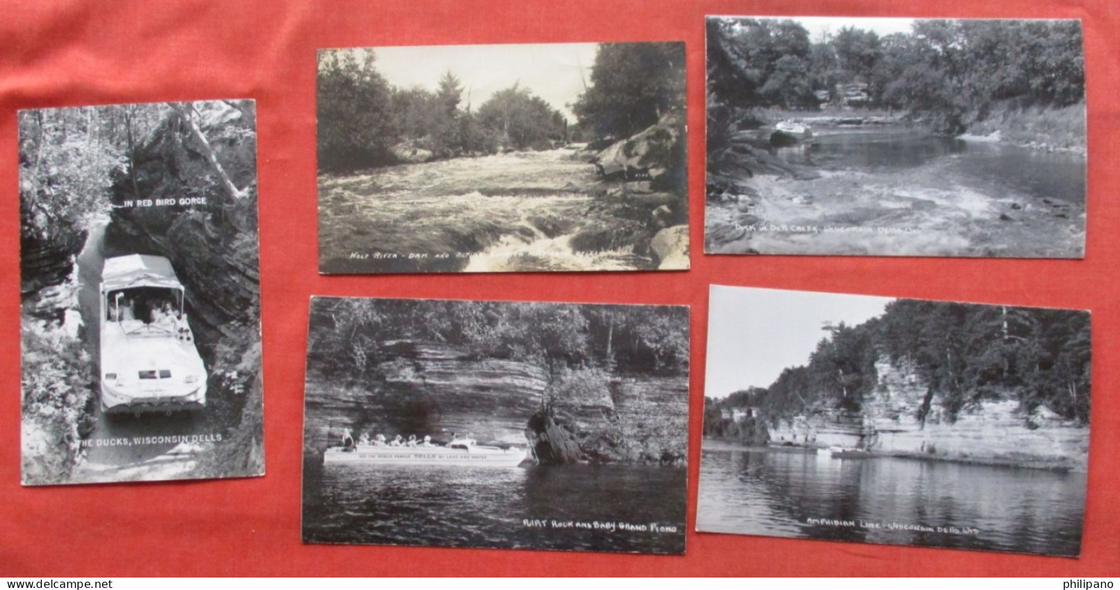 Lot  Of 5 Cards.   RPPC  Wisconsin  Dells   Wisconsin     Ref 6393 - Other & Unclassified