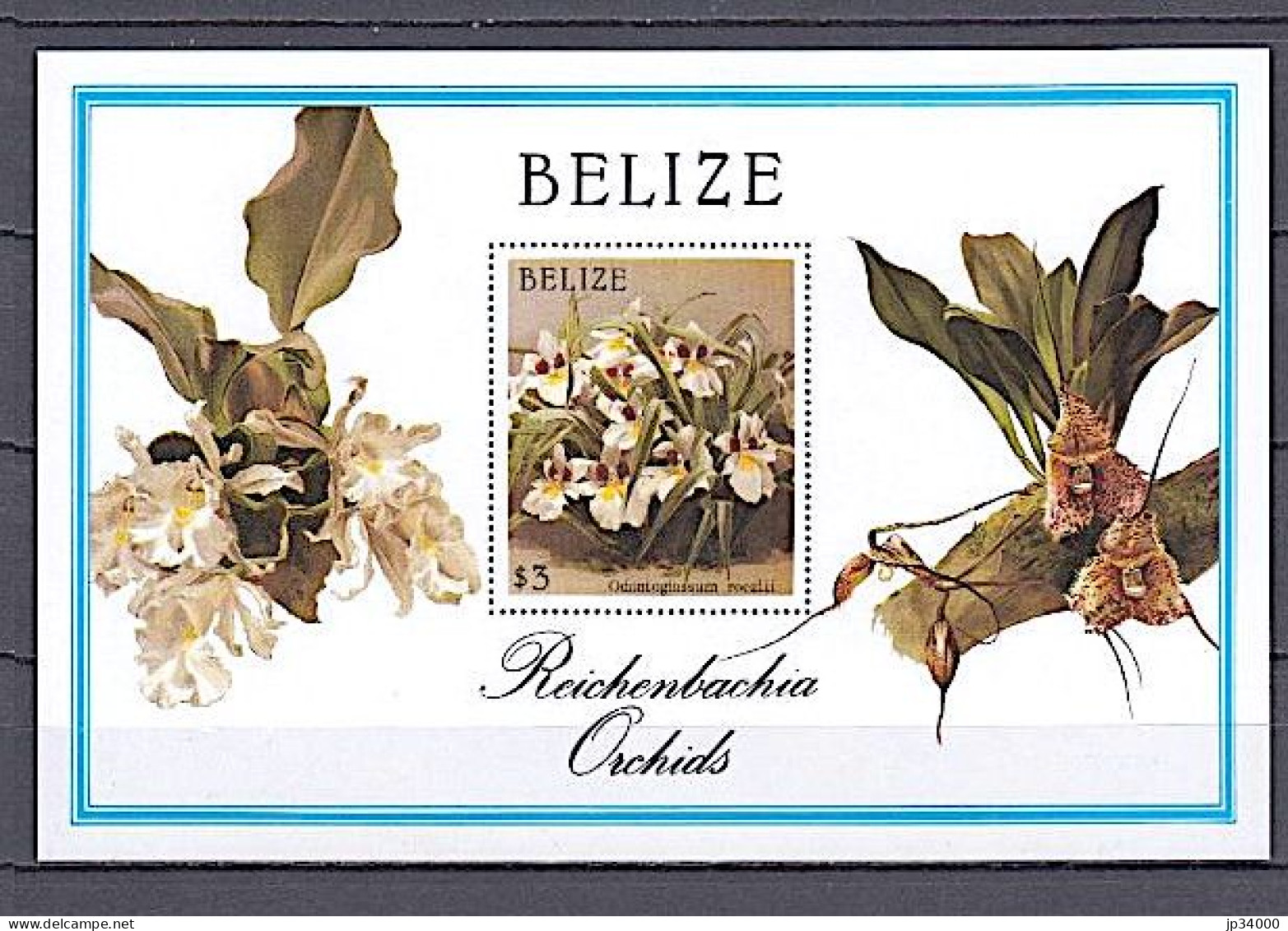 BELIZE Orchidées, Orchidée Yvert BF 85 ** Neuf Sans Charniere (odontoglossum Roezlii)1983 - Orchidées