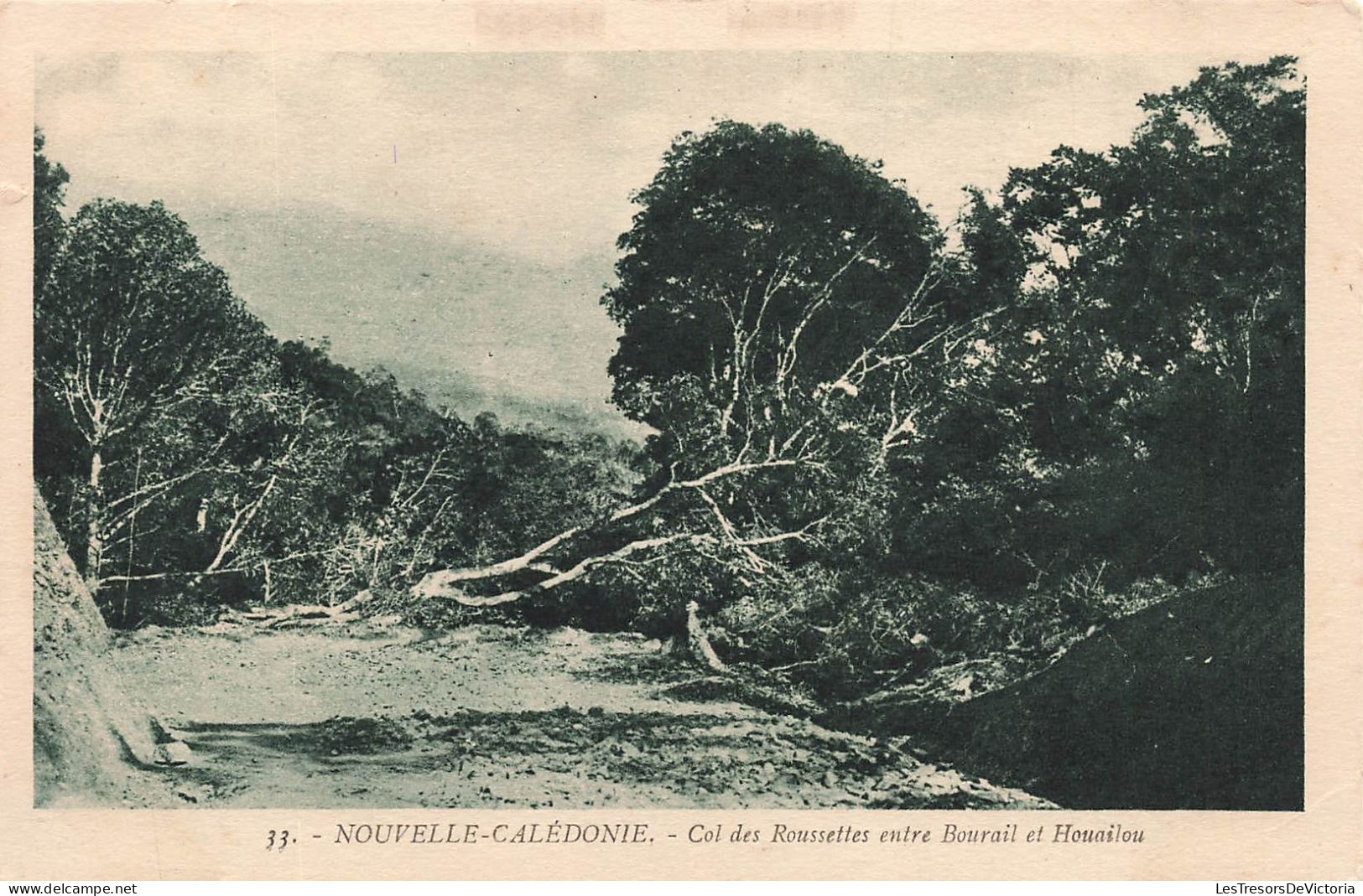 FRANCE - Nouvelle Calédonie - Col Des Roussettes Entre Bourail Et Houailou - Vue Générale - Carte Postale Ancienne - Nouvelle Calédonie