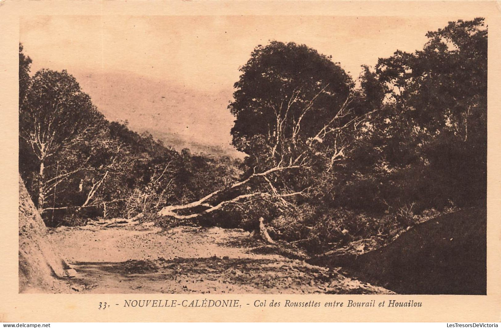 FRANCE - Nouvelle Calédonie - Col Des Roussettes Entre Bourail Et Houailou - Vue Générale - Carte Postale Ancienne - Nouvelle Calédonie