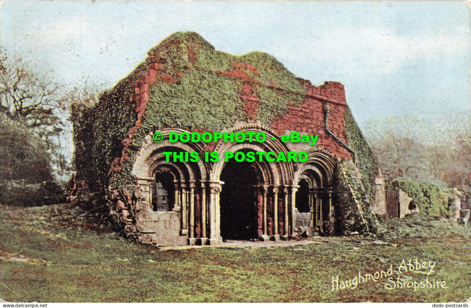 R476884 Shropshire. Haughmond Abbey. 1904 - Monde