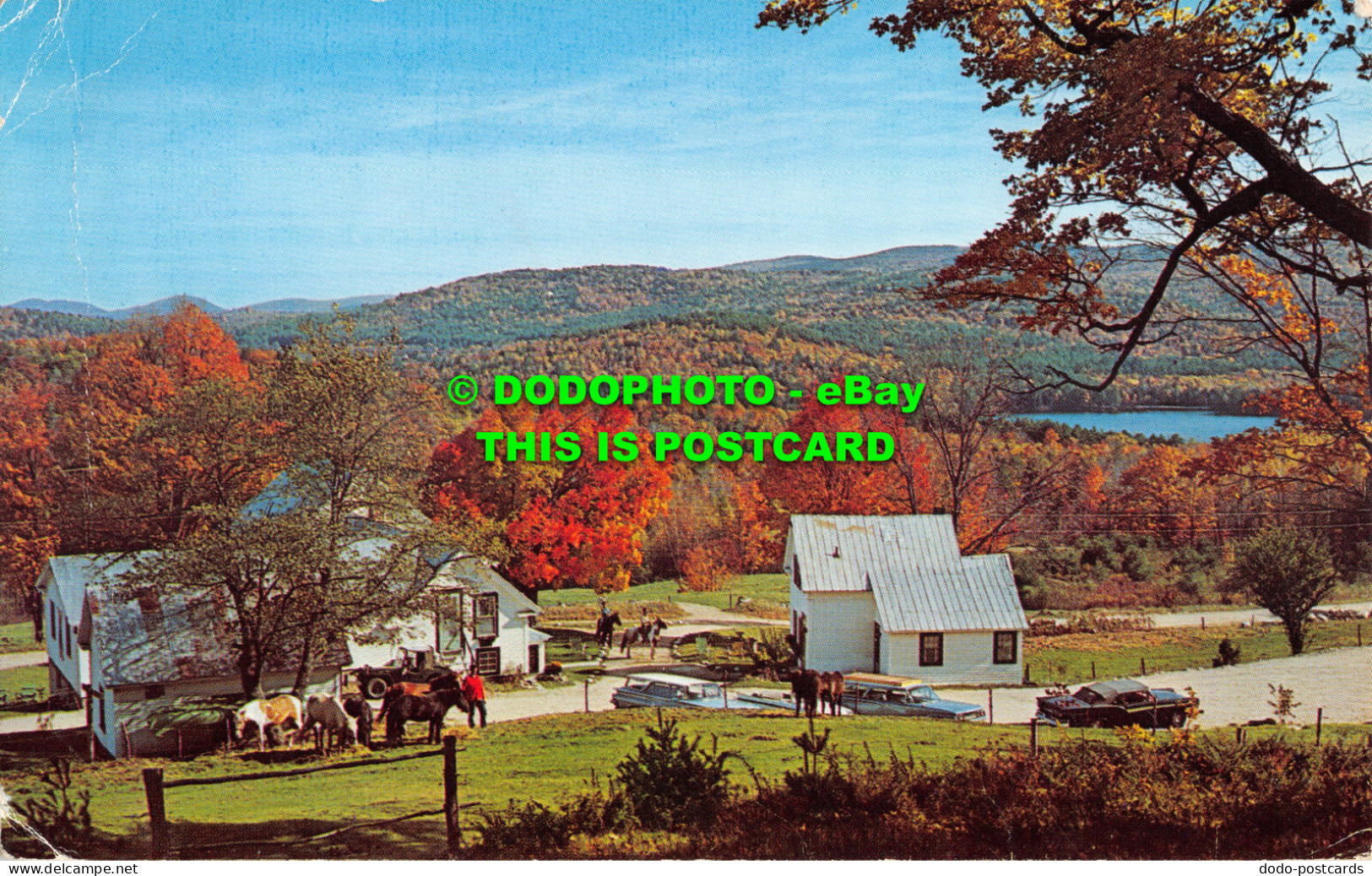 R476886 New Hampshire. Autumn View From Rockhouse Mountain Of Rockhouse Mountain - Monde