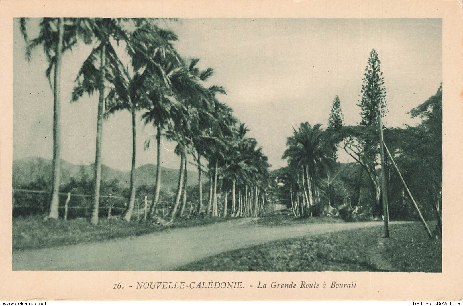 FRANCE - Nouvelle Calédonie - Vue Générale - La Grande Route à Bourail - Carte Postale Ancienne - Nouvelle Calédonie