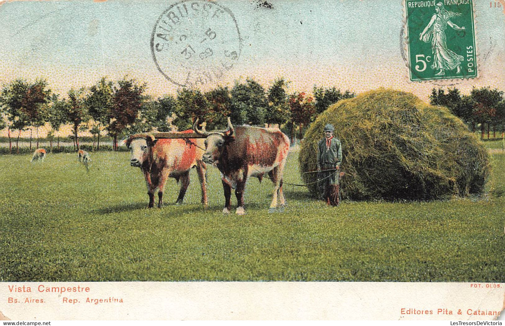 ANIMAUX - Deux Zébus Avec Un Un Joug - Vista Campestre - Colorisé - Carte Postale Ancienne - Other & Unclassified