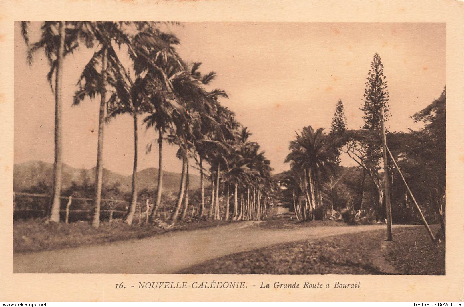 FRANCE - Nouvelle Calédonie - Vue Générale - La Grande Route à Bourail - Carte Postale Ancienne - Nouvelle Calédonie