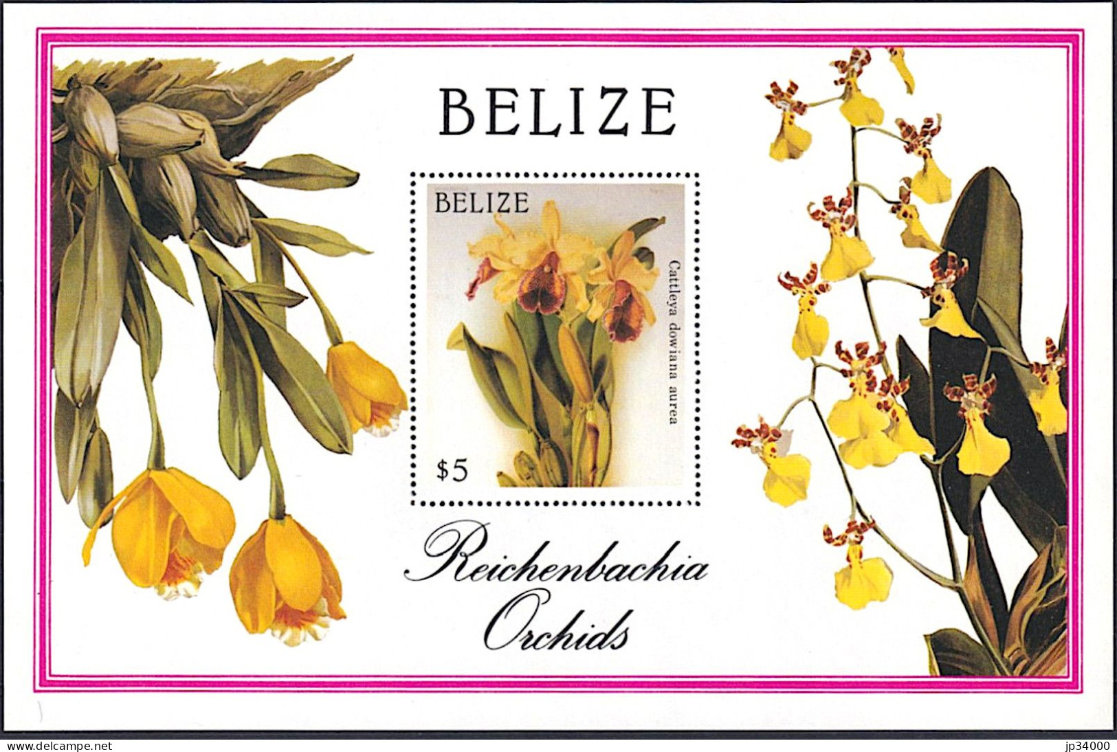 BELIZE Orchidées, Orchidée Yvert BF 83 ** Neuf Sans Charniere (cattleya Dowiana Aurea)1983 - Orquideas