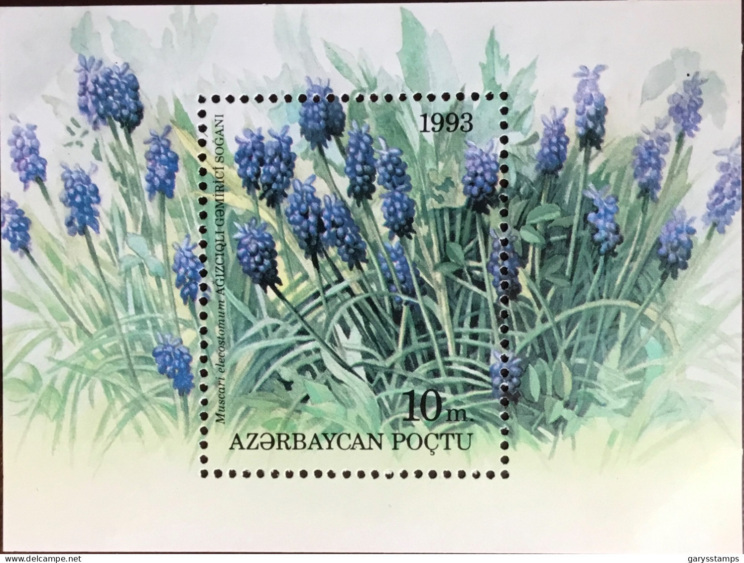 Azerbaijan 1993 Flowers Minisheet MNH - Sonstige & Ohne Zuordnung