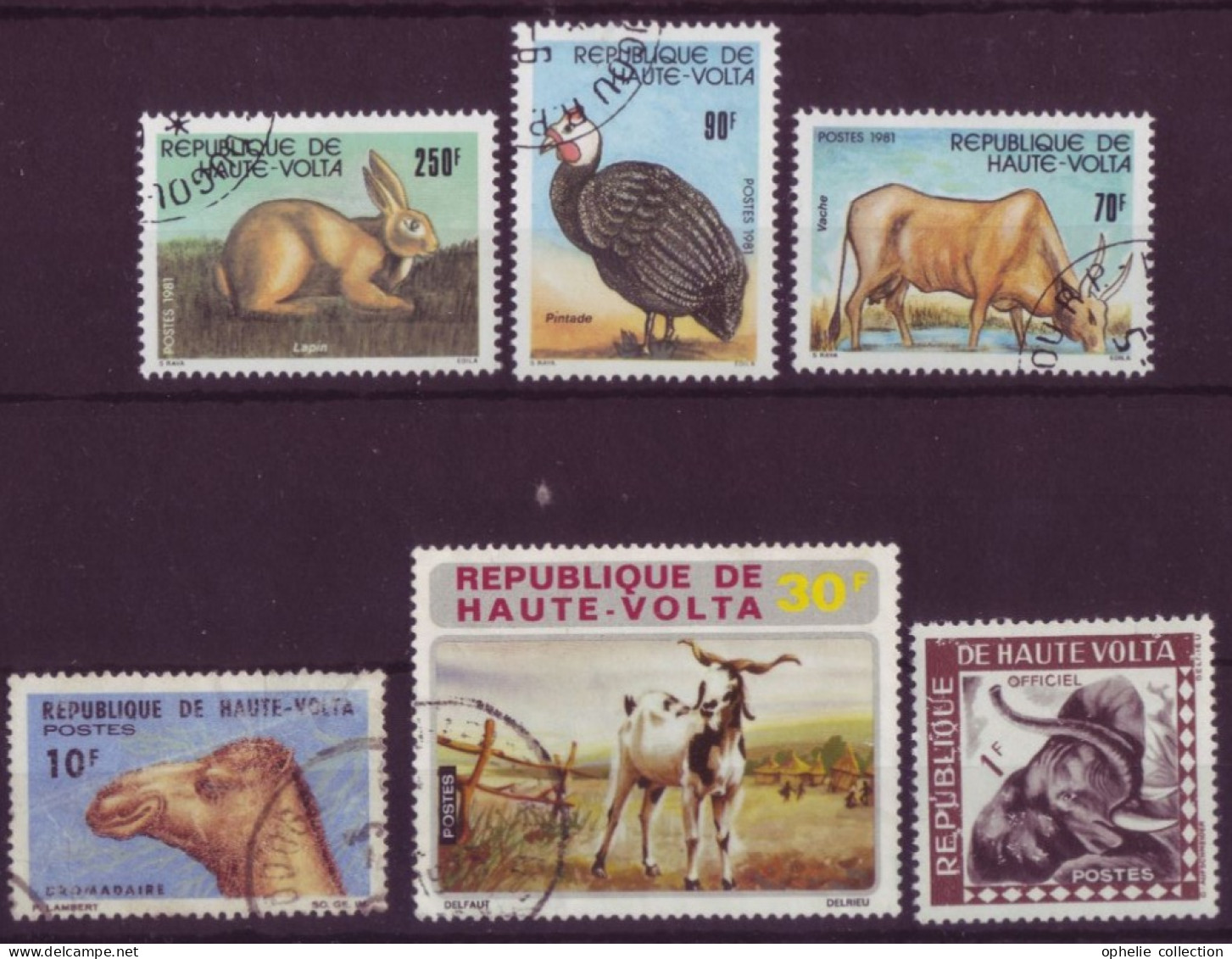 Afrique - Haute-Volta - Faune - 6  Timbres Différents - 7156 - Obervolta (1958-1984)