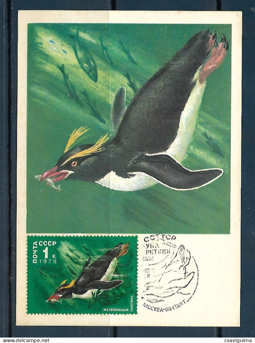 CCCP - 1979 - Marine Life - Maximum Card - Mundo Aquatico