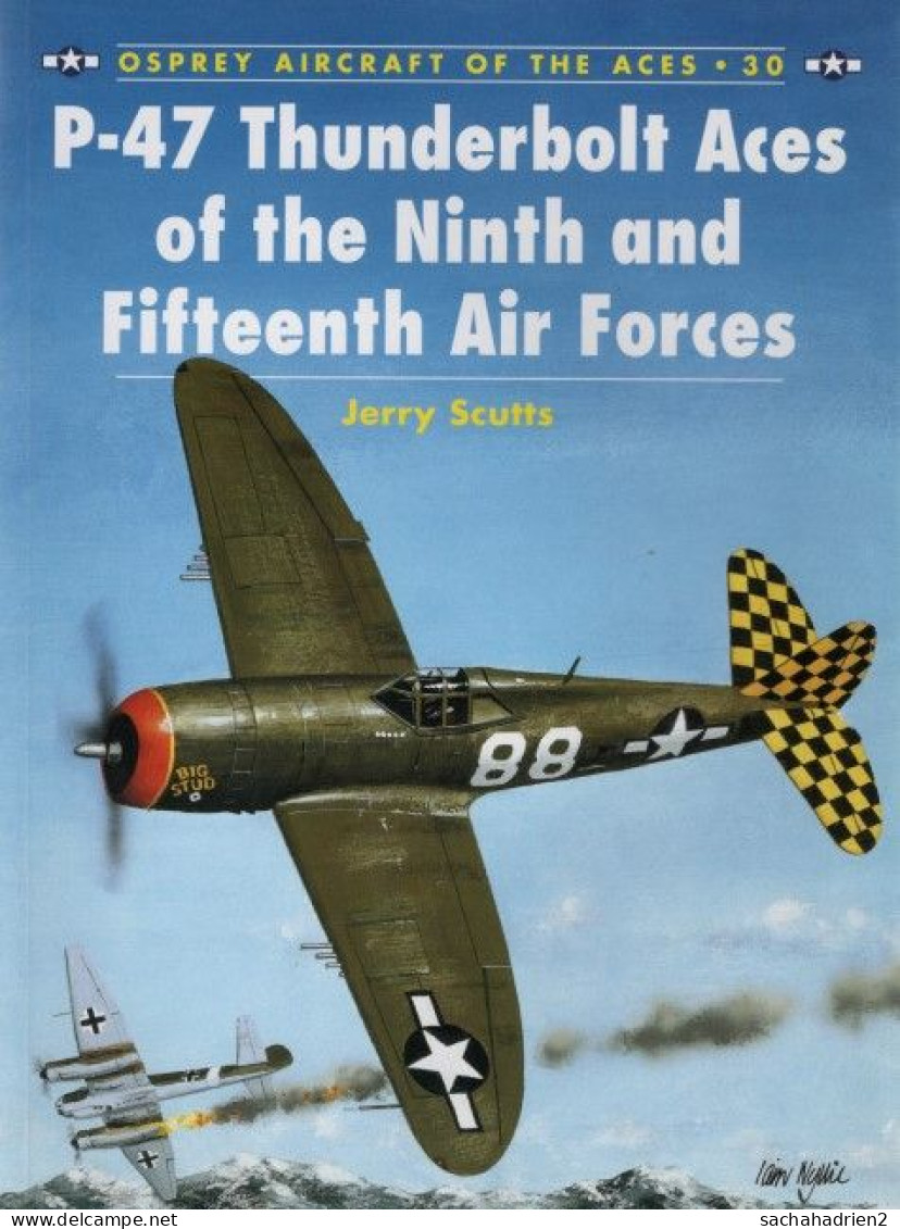 P-47 Thunderbolt Aces Of The Ninth And Fifteenth Air Forces - English
