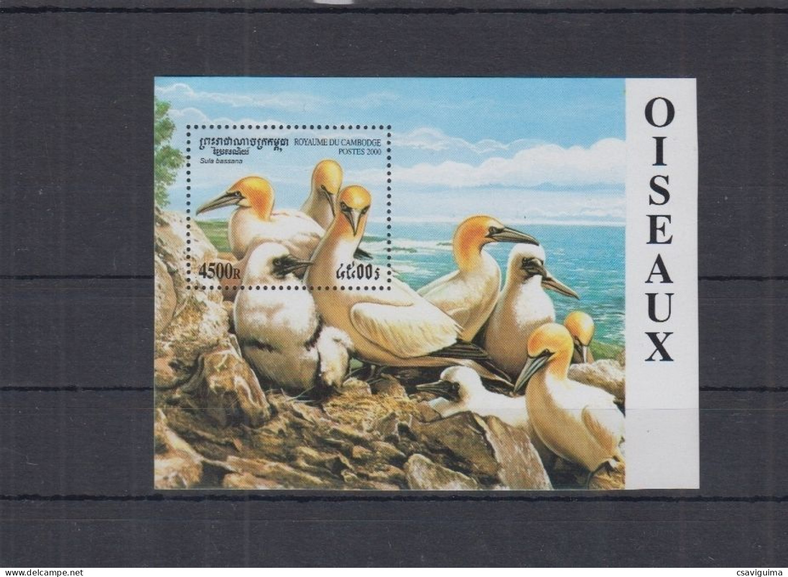 Cambodia (Cambodge) - 2000 - Birds - Yv Bf 173C - Other & Unclassified